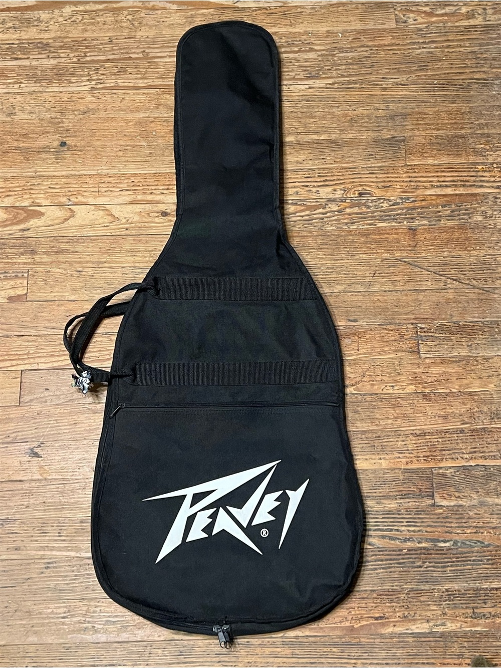 Peavey Electric Guitar Case